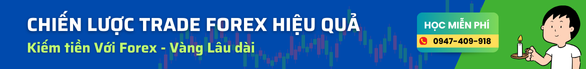 chien luoc kiem tien voi forex